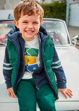 Load image into Gallery viewer, Reversible Puffer Vest