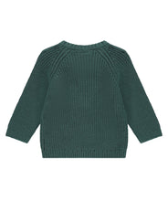 Load image into Gallery viewer, Baby Pullover Sweater