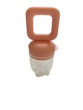Load image into Gallery viewer, Fruit Feeder Teether
