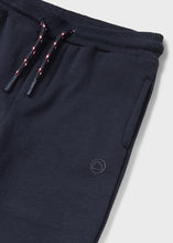 Load image into Gallery viewer, Fleece Jogger- Marino