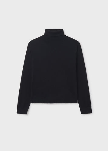 Solid Basic Turtleneck