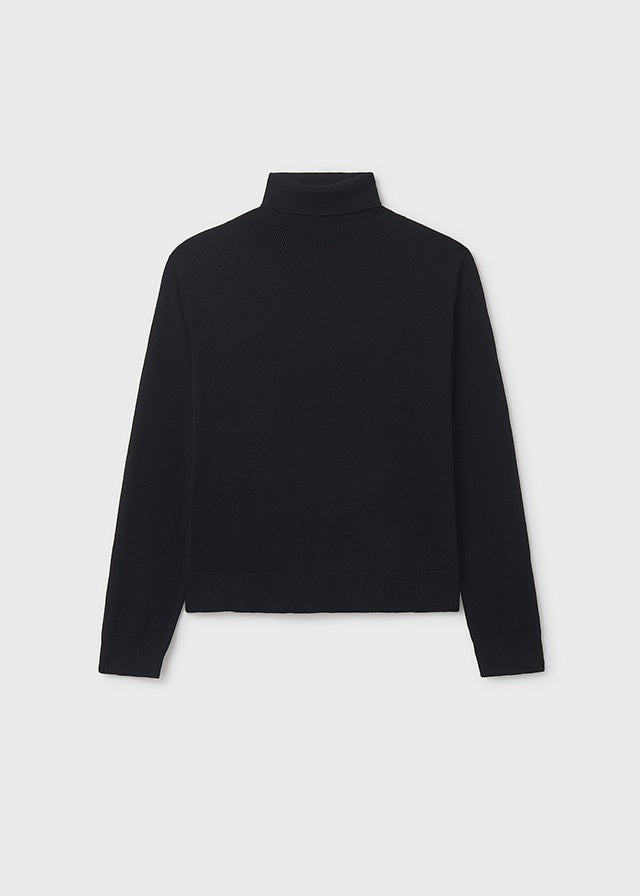 Solid Basic Turtleneck
