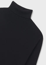 Load image into Gallery viewer, Solid Basic Turtleneck