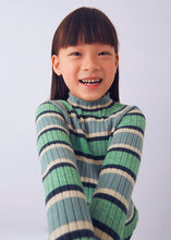 Load image into Gallery viewer, L/S Rib Turtleneck