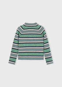 L/S Rib Turtleneck