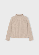 Load image into Gallery viewer, L/S Rib Turtleneck