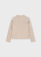 Load image into Gallery viewer, L/S Rib Turtleneck