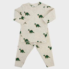 Load image into Gallery viewer, Dinosaur Print L/S 2PC Set