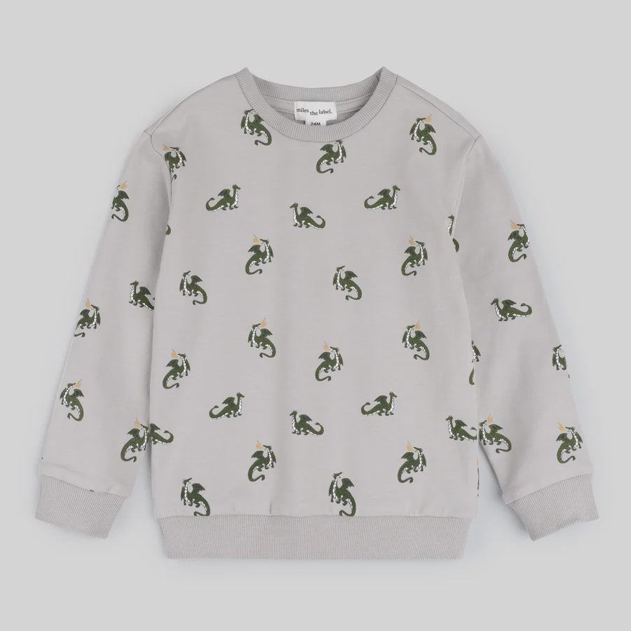 Dragon Printed Sweatshirt