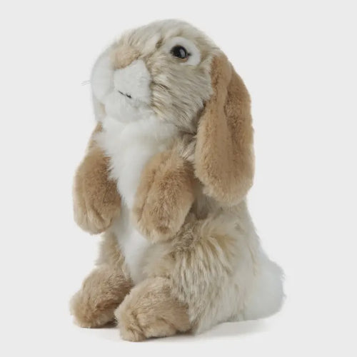 Lop Eared Rabbit Stuffed Animal