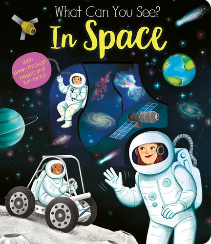 What Can You See? In Space Book