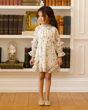Load image into Gallery viewer, Mirabelle Dress- Winter Vines
