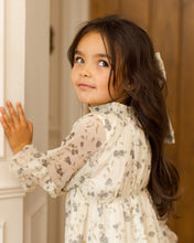 Load image into Gallery viewer, Mirabelle Dress- Winter Vines