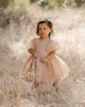 Load image into Gallery viewer, Sofia Dress- Blush