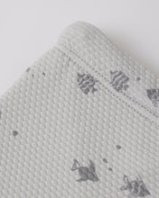 Load image into Gallery viewer, Finn Rashguard + Short Set- Fish