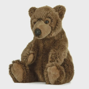 Brown Bear Plush Stuffed Animal