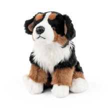 Load image into Gallery viewer, Bernese Mountain Dog Stuffed Animal