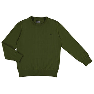 Basic Crewneck Sweater- Lichen