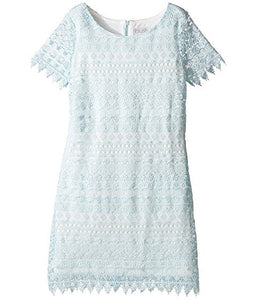 Half Sleeve Crochet Sheath Dress